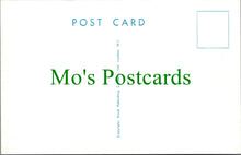 Load image into Gallery viewer, Comic Postcard - Guest House / Holiday / Trip, Artist Trow SW12519
