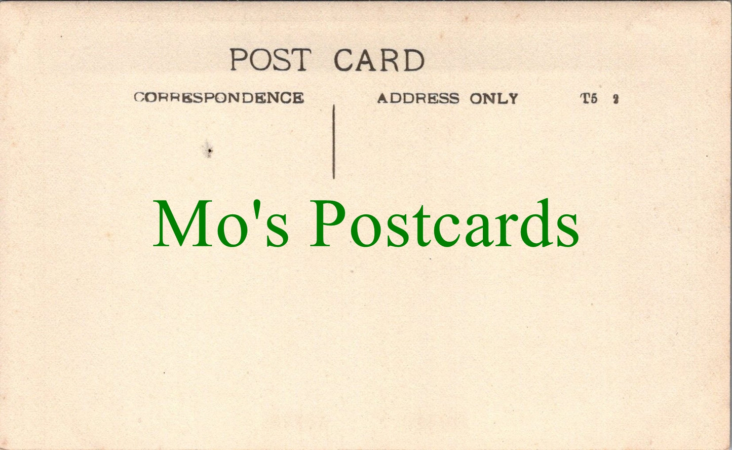 Ancestors Postcard - Lady With Her Dog in a Large Garden SW12521