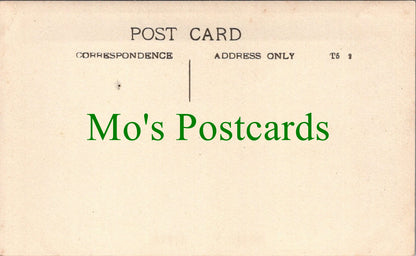 Ancestors Postcard - Lady With Her Dog in a Large Garden SW12521