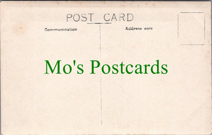 Animals Postcard - Dog in a Large Garden SW12522
