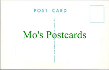 Load image into Gallery viewer, Comic Postcard - Prison / Convict Escape, Prison Warder SW12525
