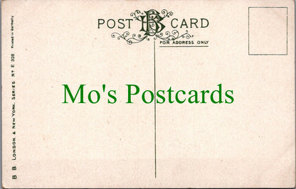 Animals Postcard - Dog With Ducklings SW12530