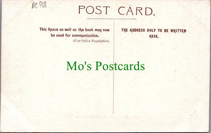 Hampshire Postcard - Oak in Queen Bower Wood, New Forest  DC968
