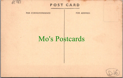 Somerset Postcard - The Alpine Village, Gough's Caves, Cheddar DC981