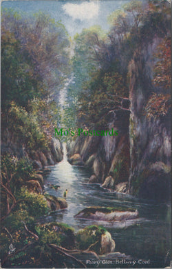 Wales Postcard - Fairy Glen, Bettws-y-Coed  DC988