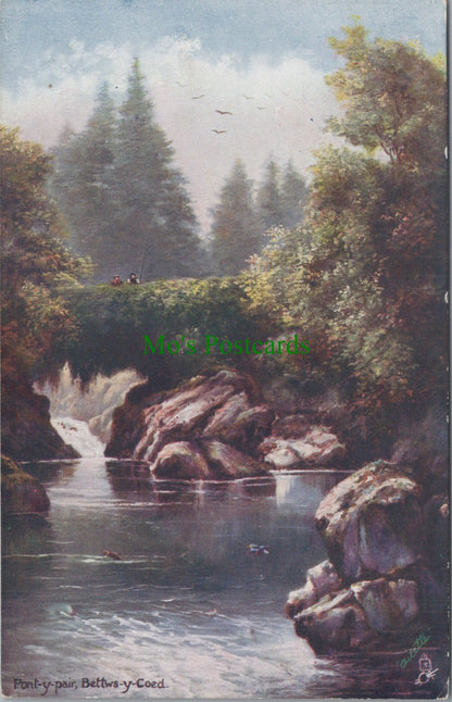 Wales Postcard - Pont-y-Pair, Bettws-y-Coed  DC989