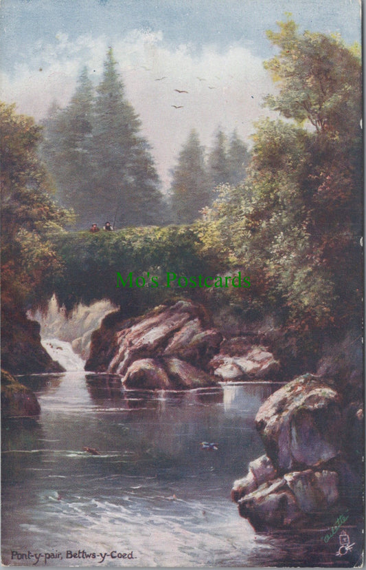 Wales Postcard - Pont-y-Pair, Bettws-y-Coed  DC989