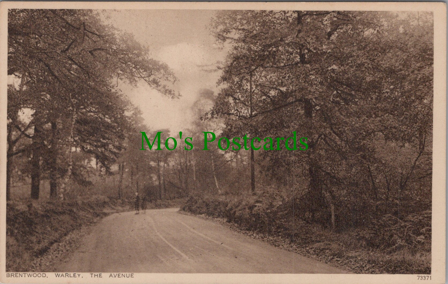 Essex Postcard - Brentwood, Warley, The Avenue  DC934