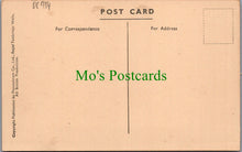 Load image into Gallery viewer, Essex Postcard - Brentwood, Warley, The Avenue  DC934
