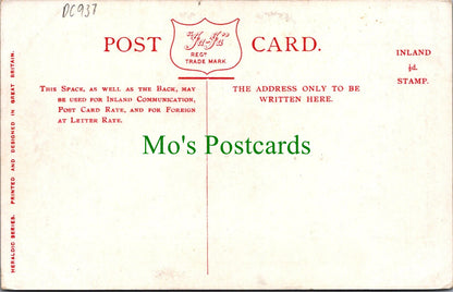 Yorkshire Postcard - Tyrrel Street, Bradford   DC937
