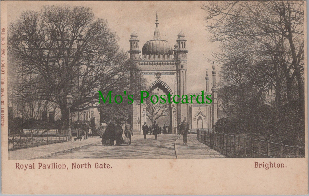 Sussex Postcard - Brighton, Royal Pavilion, North Gate  DC938