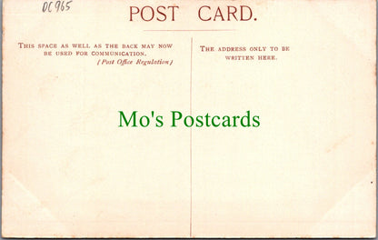 Hampshire Postcard - Mark Ash, The New Forest  DC965