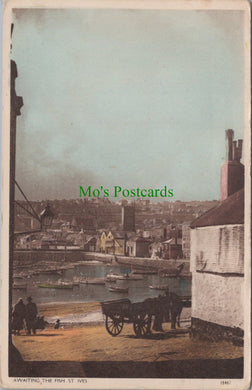 Cornwall Postcard - Awaiting The Fish, St Ives  DC897