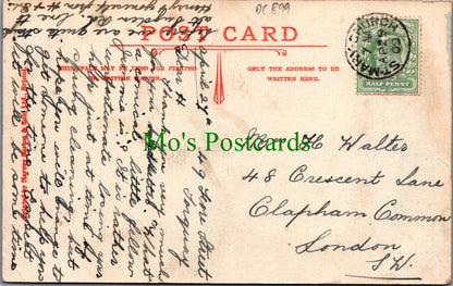 Devon Postcard - Babbacombe Downs   DC899