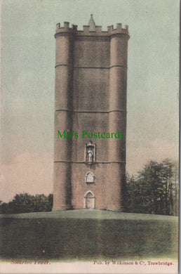 Somerset Postcard - Stourton Tower, King Alfred's Tower DC855