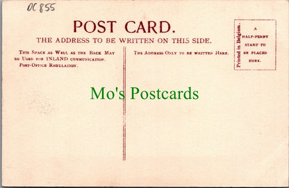 Somerset Postcard - Stourton Tower, King Alfred's Tower DC855