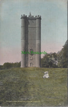 Load image into Gallery viewer, Somerset Postcard - Stourton Tower, King Alfred&#39;s Tower DC856
