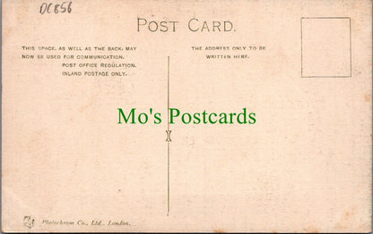 Somerset Postcard - Stourton Tower, King Alfred's Tower DC856
