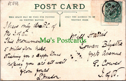 Hampshire Postcard - Wellington Monument, Stratfield Saye  DC858