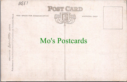 London Postcard - St James' Palace   DC867