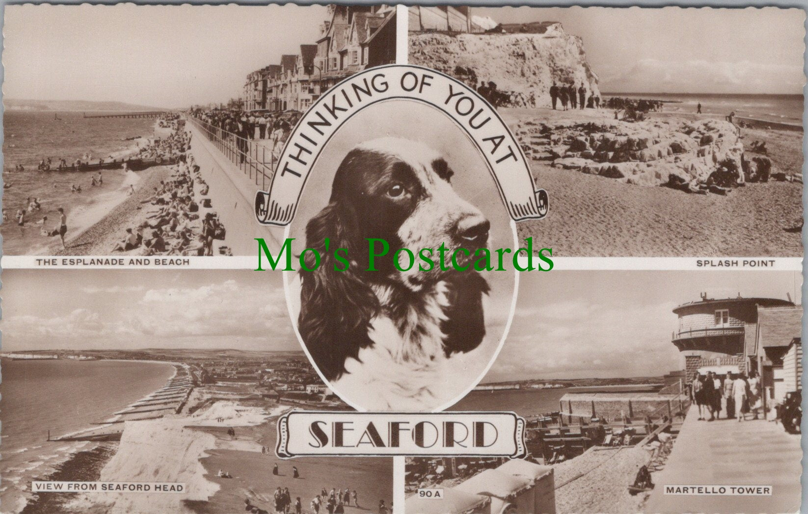 Sussex Postcard - Thinking of You at Seaford  DC814
