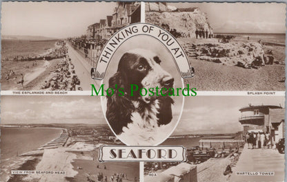 Sussex Postcard - Thinking of You at Seaford  DC814