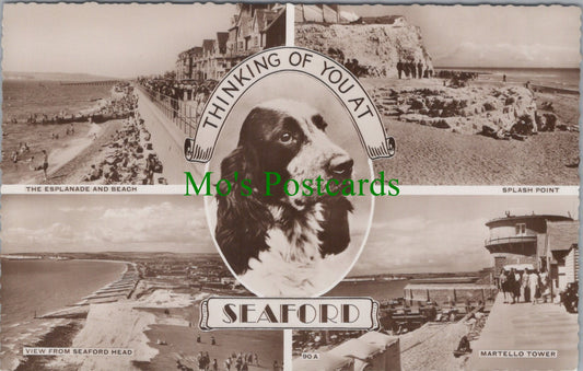 Sussex Postcard - Thinking of You at Seaford  DC814