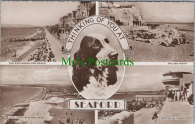 Sussex Postcard - Thinking of You at Seaford  DC814
