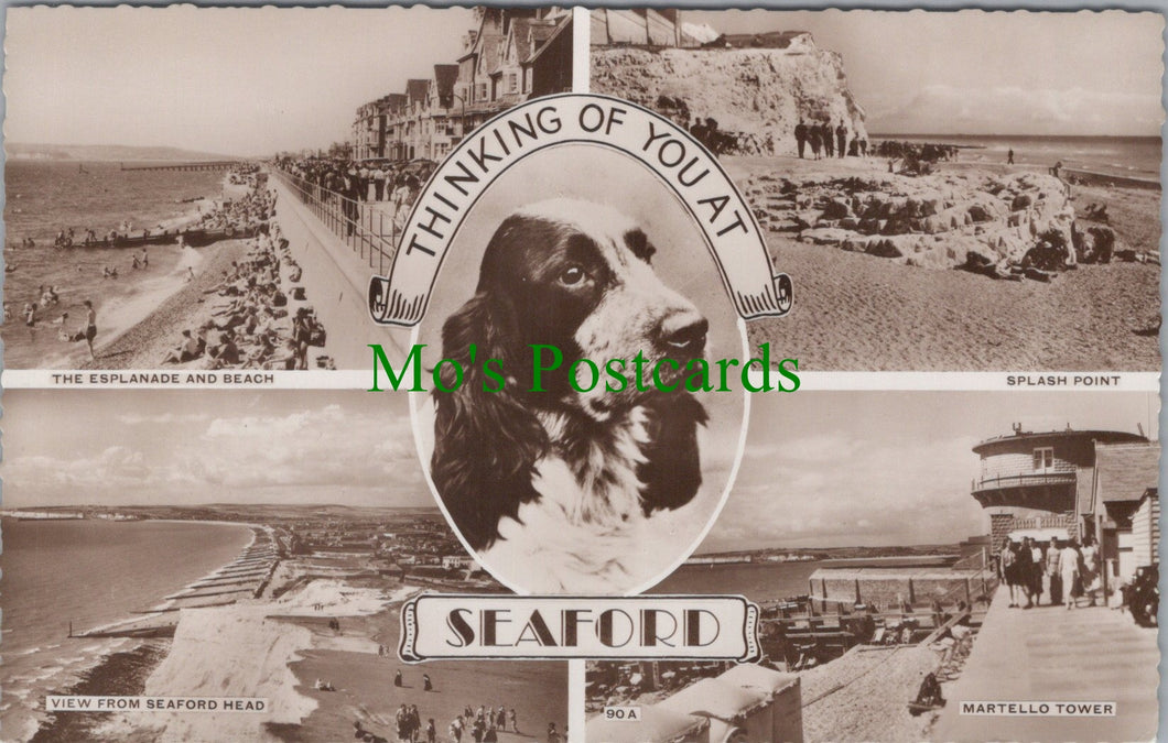 Sussex Postcard - Thinking of You at Seaford  DC814