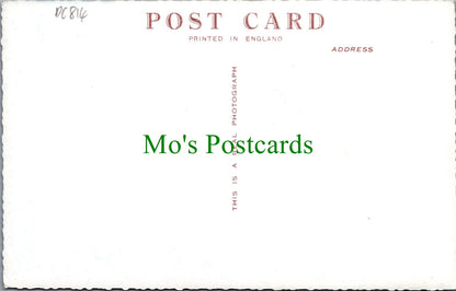 Sussex Postcard - Thinking of You at Seaford  DC814