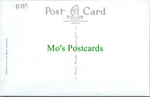 Load image into Gallery viewer, Sussex Postcard - Views of The Sussex Downs  DC849
