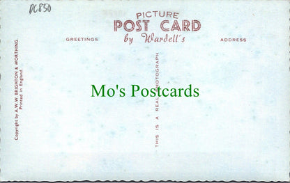 Sussex Postcard - Beauty Spots Near Worthing  DC850