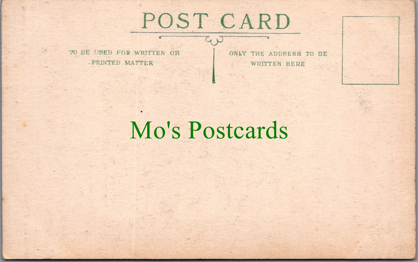 Hampshire Postcard - Heads of Two Fallow Deer, The New Forest SW11226