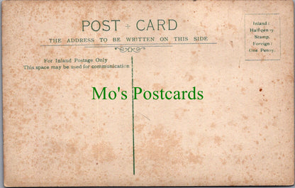 Social History Postcard - Large Group of Adults and Children  SW11247
