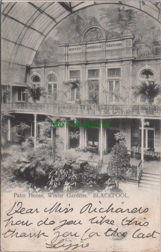 Lancashire Postcard - Blackpool, Palm House, Winter Gardens  SW11273