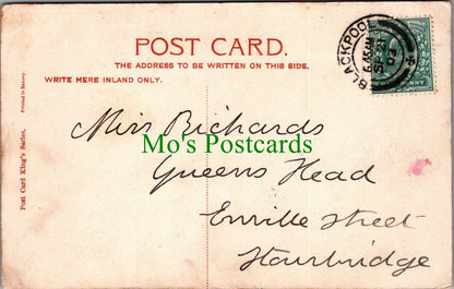 Lancashire Postcard - Blackpool, Palm House, Winter Gardens  SW11273