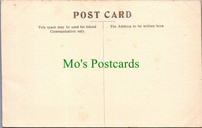 Ireland Postcard - Birr Castle Birr Parsonstown Kings Co SW11293