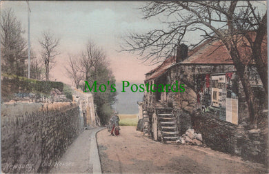 Cornwall Postcard - Newquay Old Houses   SW11294
