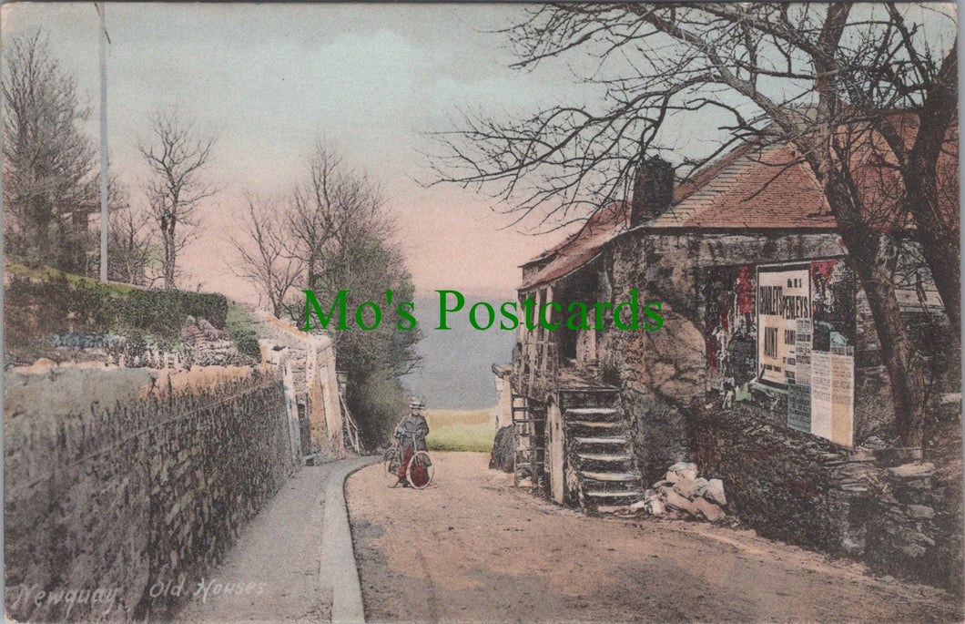 Cornwall Postcard - Newquay Old Houses   SW11294