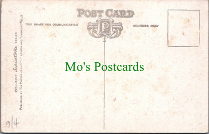 Sussex Postcard - Lewes Castle, Whipping Post Stocks & Stool  SW11318