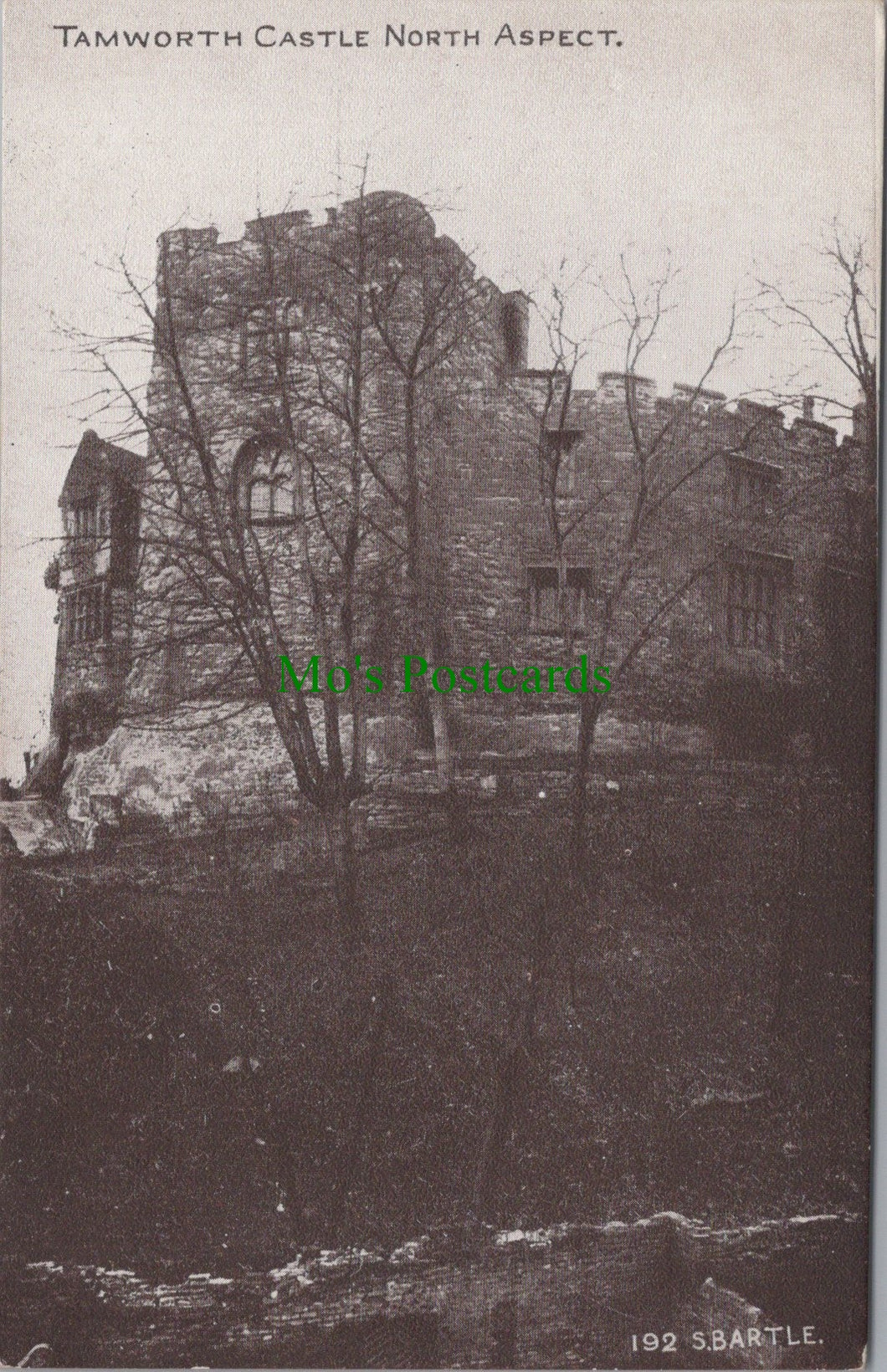 Staffordshire Postcard - Tamworth Castle, North Aspect SW11657