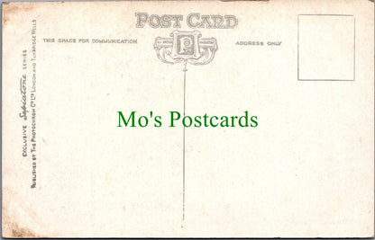 Staffordshire Postcard - Tamworth Castle, North Aspect SW11657