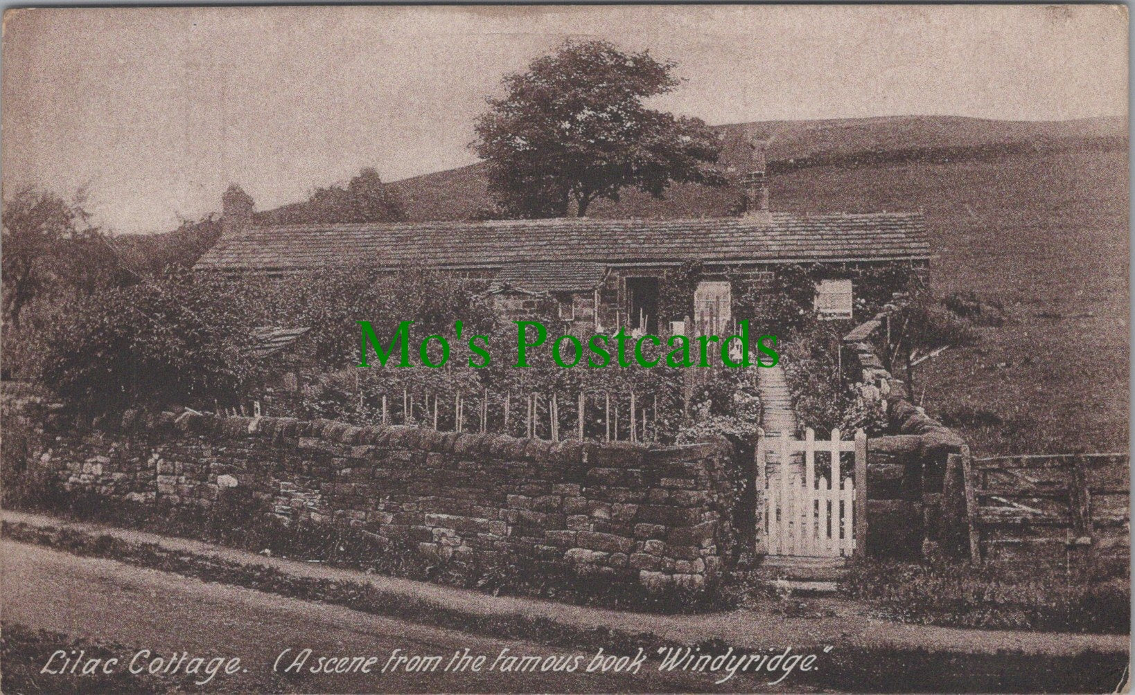 Yorkshire Postcard - Lilac Cottage, Famous Book "Windyridge"  SW11682