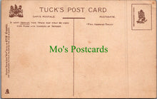 Load image into Gallery viewer, Nature Postcard - Fruit Art - Grapes, Artist Catharina Klein  SW11560
