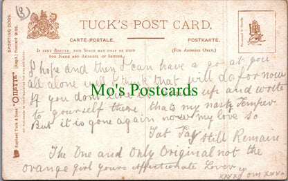 Animals Postcard - Dog Art, Sporting Dogs - Setters SW11565