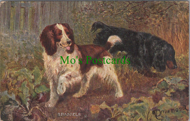 Animals Postcard - Dog Art, Sporting Dogs - Spaniels  SW11566