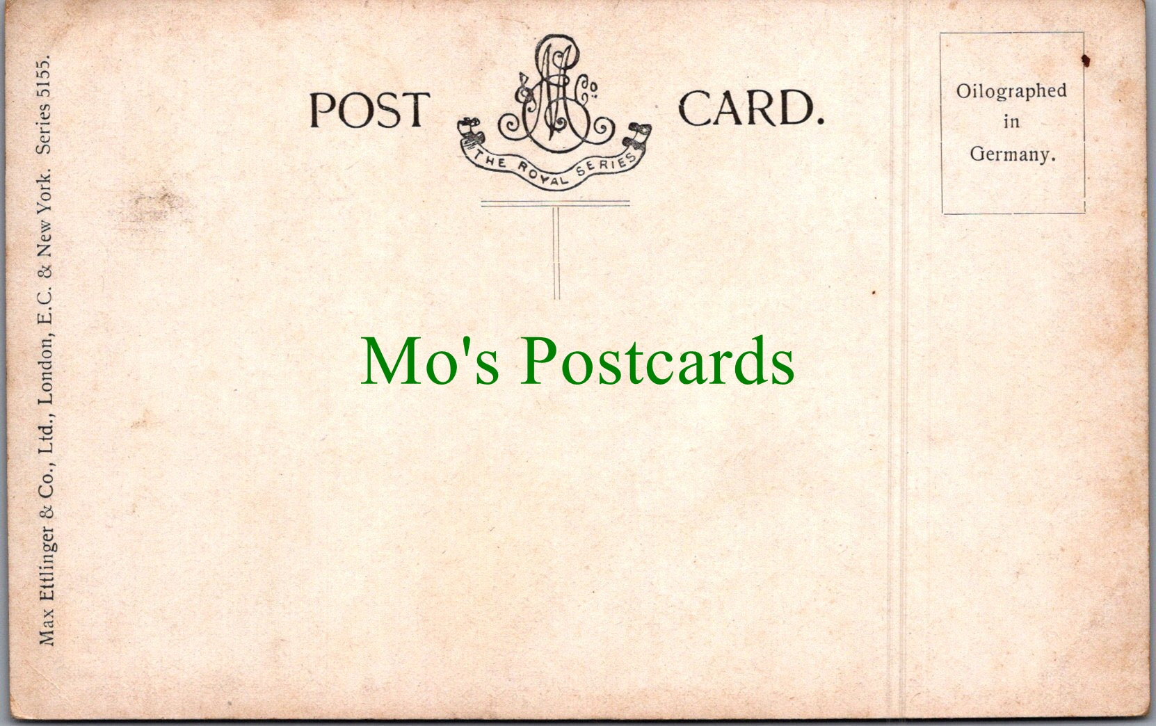Animals Postcard - Horse Art, Three White Horses  SW11569