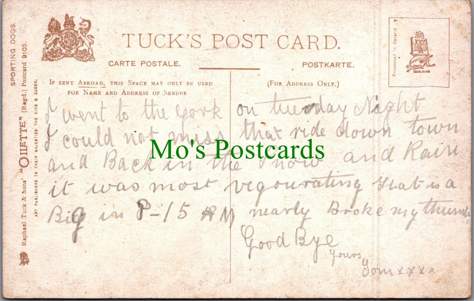 Animals Postcard - Dog Art, Sporting Dogs - The Pointer  SW11570