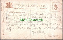 Load image into Gallery viewer, Animals Postcard - Dog Art, Sporting Dogs - The Pointer  SW11570
