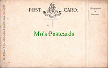 Load image into Gallery viewer, Animals Postcard - Horse Art, Brown and White Horses  SW11571
